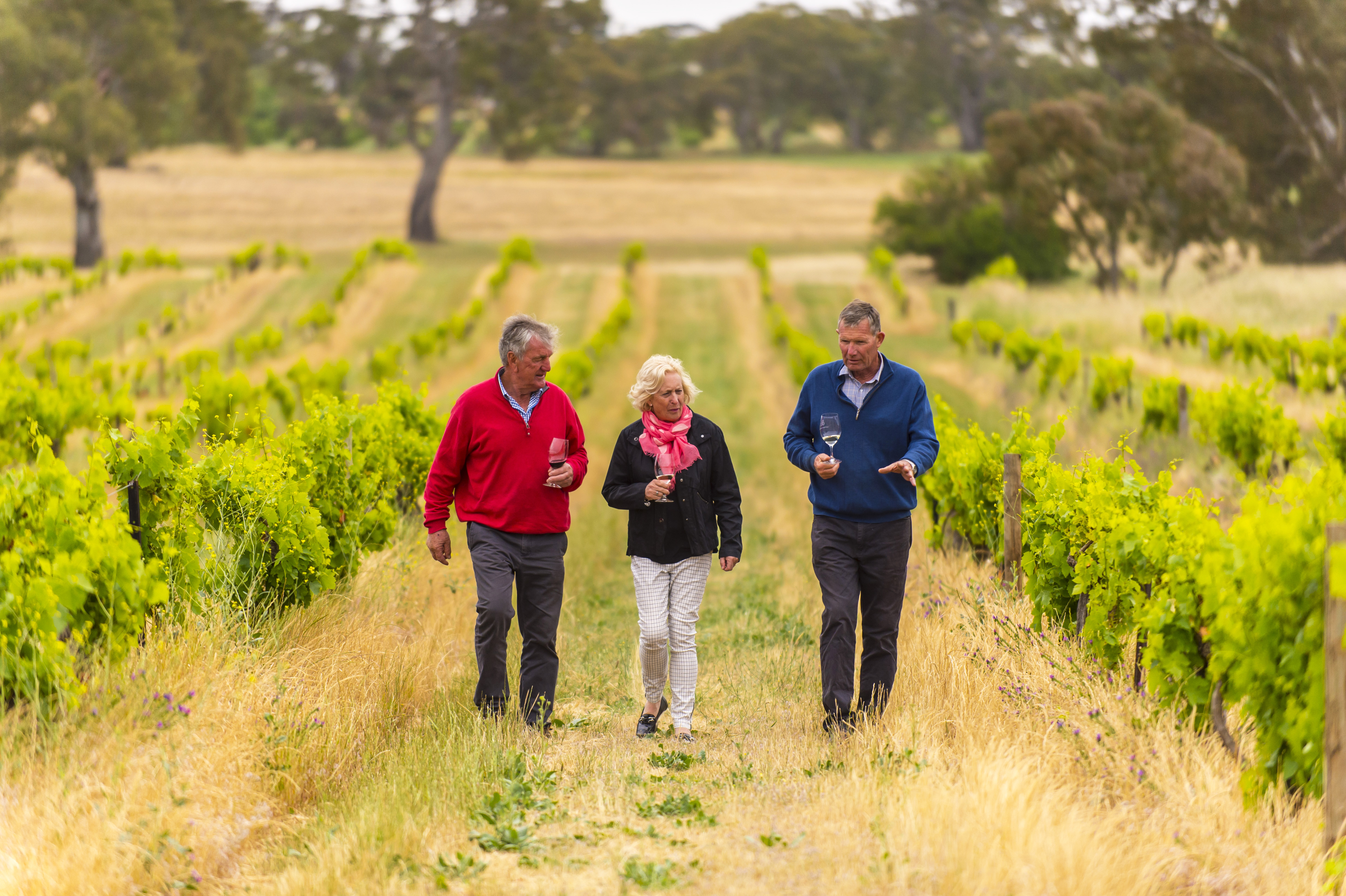 Walking through the vineyards